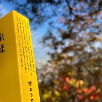 山友ちゃんにいただいた『とらや』の羊羹(新栗)超美味しかった🌰(またよろしくね〜😆)