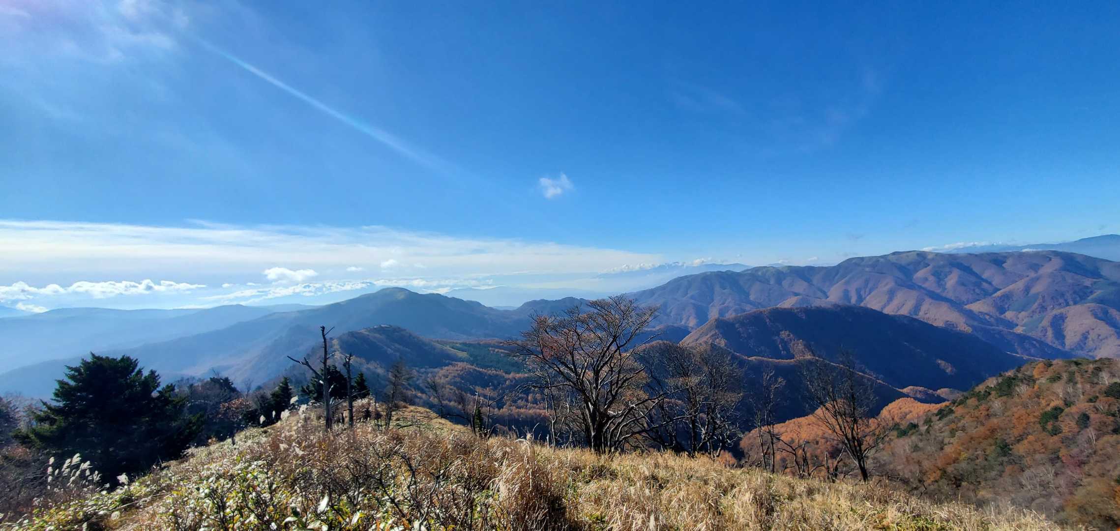 三峰山～鉢伏山♪