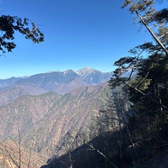 早朝とは違う姿をしたい南アの雄たちや