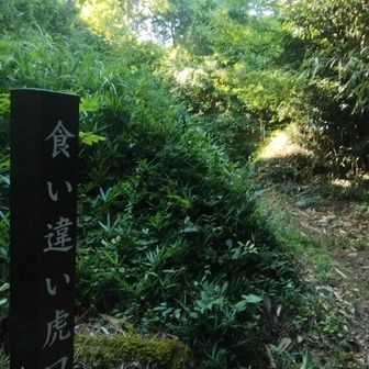 食い違い虎口