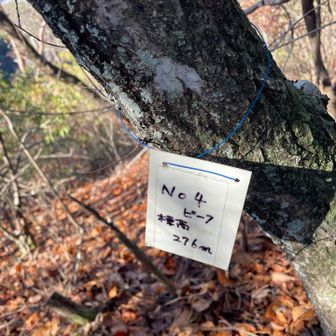 各務原アルプス（関南アルプス）・八木三山 第四ピーク