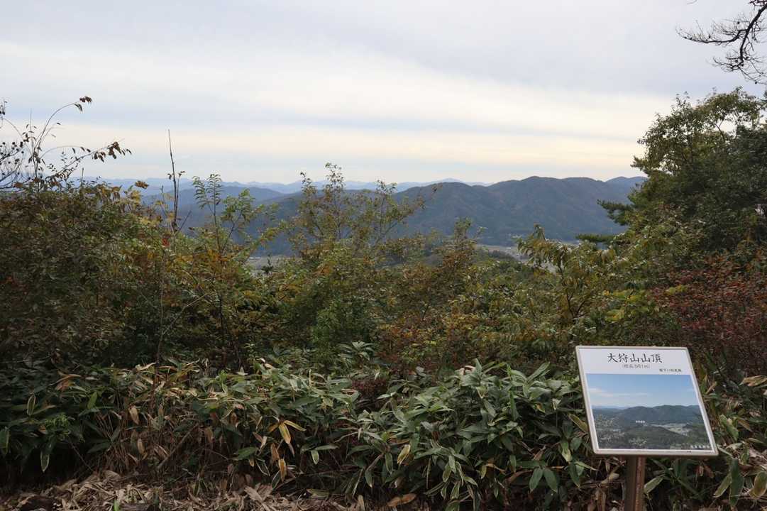 生い茂ってなければ看板のような景色が見れたようです🥲✨