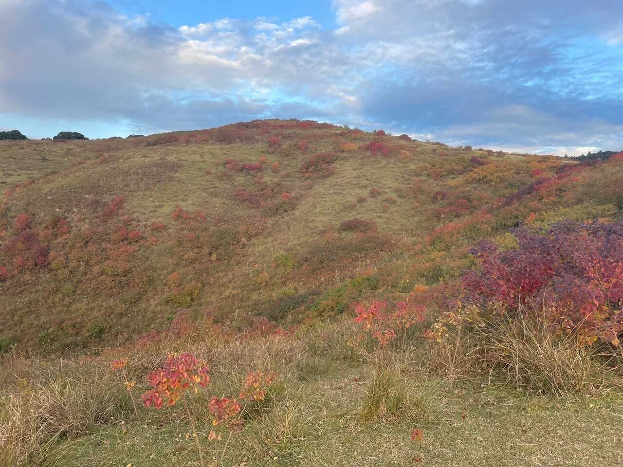 若草山（三笠山）の写真