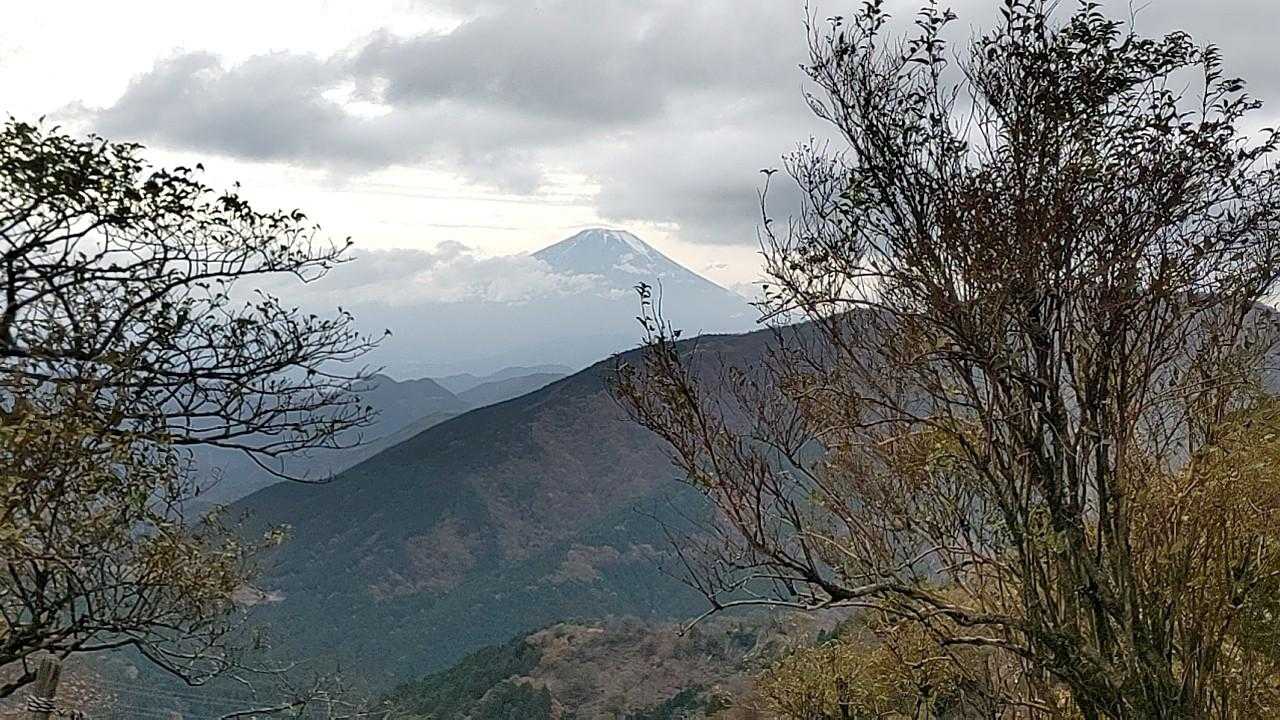 大山ケーブルバス停-大山寺-頂上登山口-大山-大山ケーブル 縦走コースの写真