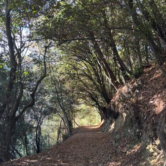 二上山は、登山口から、
すぐにこの素敵景色❣️

(о´∀`о)💕