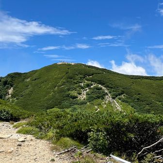 檜尾小屋から檜尾岳山頂を見る
いっぱい人がいる😅
下山の前に会ったトレラングループの皆さんかな