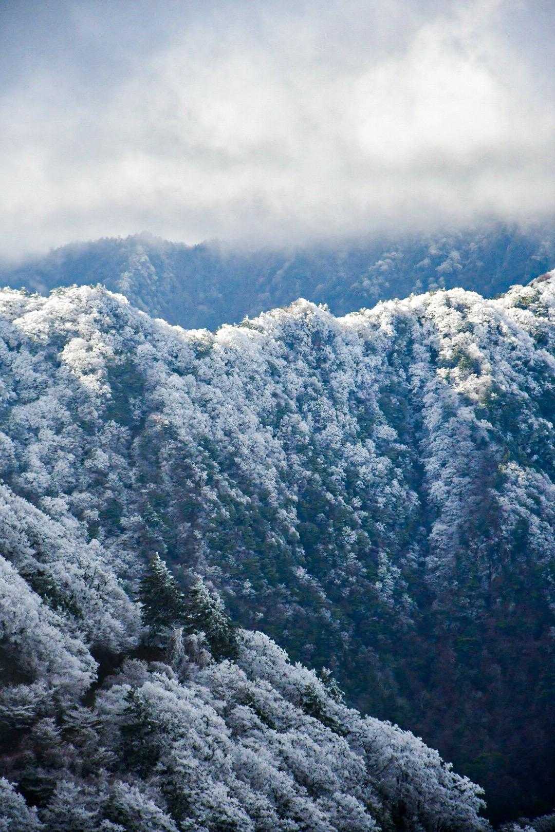東黒森-伊予富士 往復コースの写真