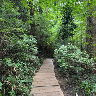 帰りは稲荷山コースから。歩き易くて助かります。