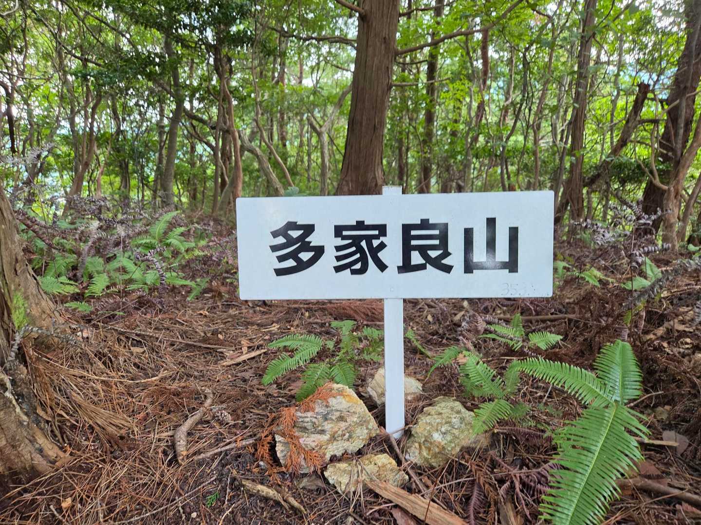 中津峰山-多家良山 周回コースの写真