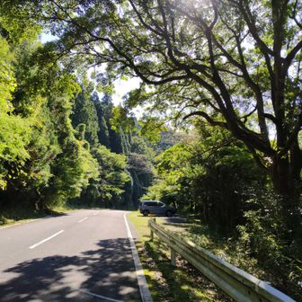 無事に下山できました。
今日もありがとうございました🙂‍↕️