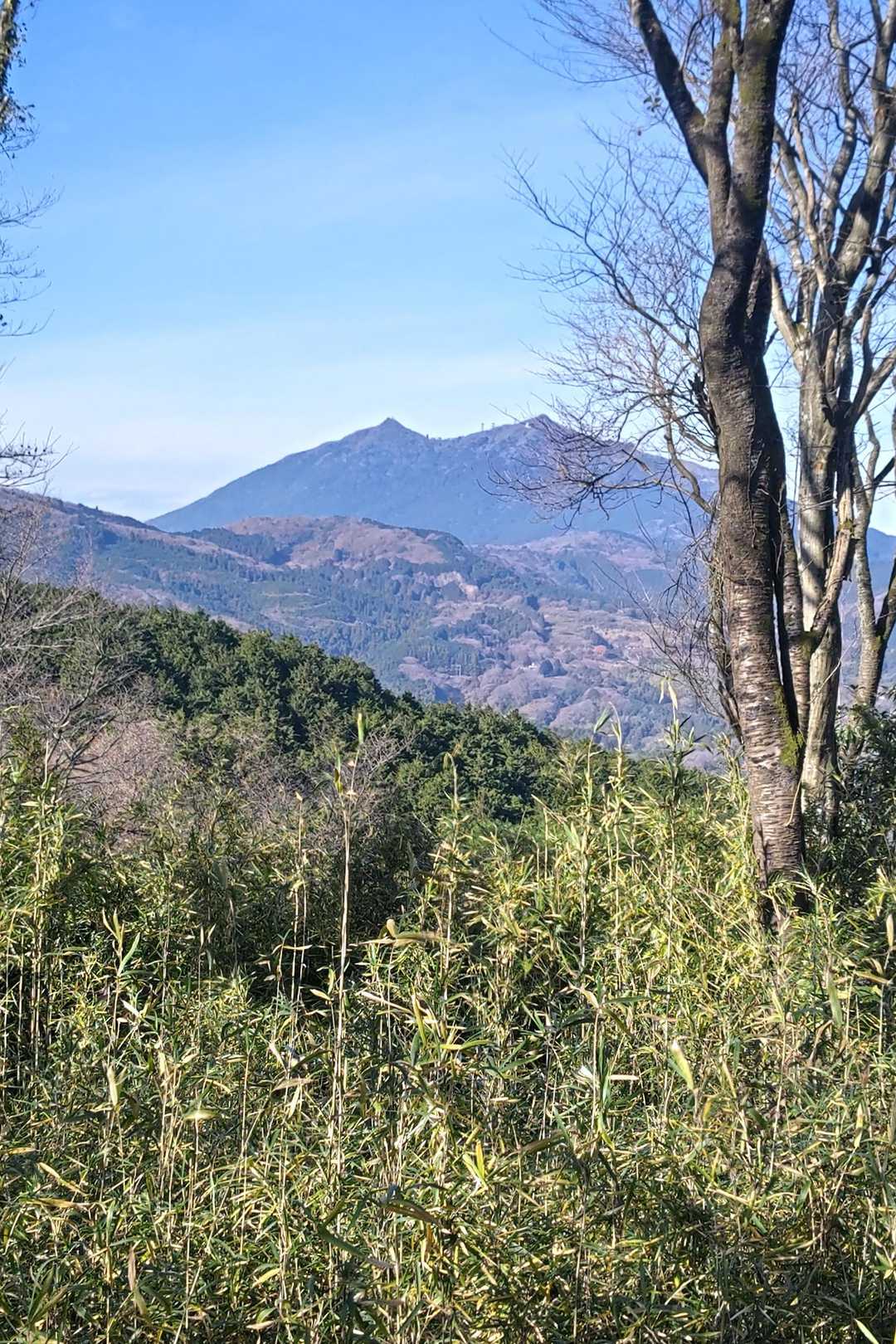 朝日峠ハイキングコース入口-小町山-小町山登山口 周回コースの写真