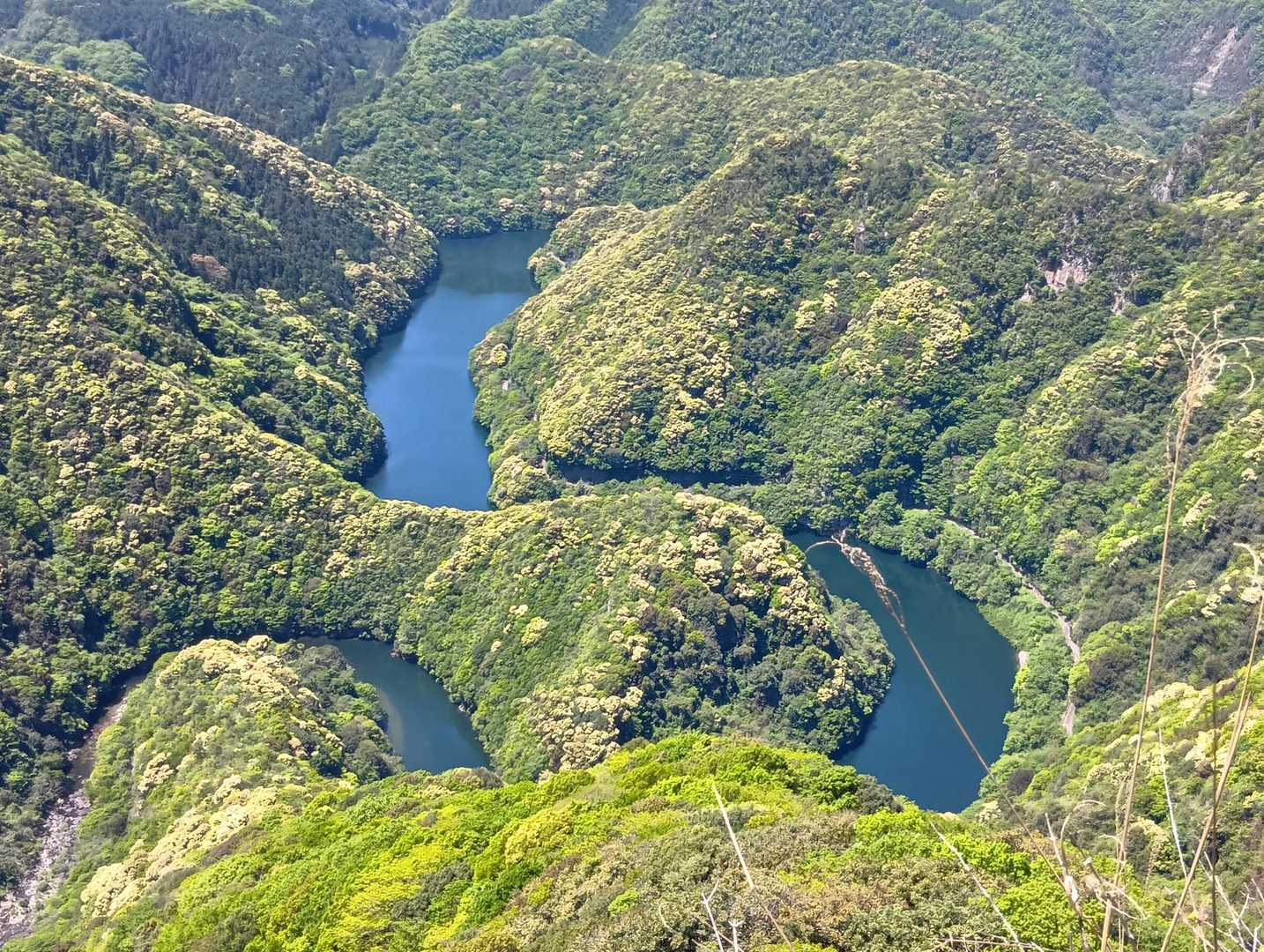 山頂からは絶景が