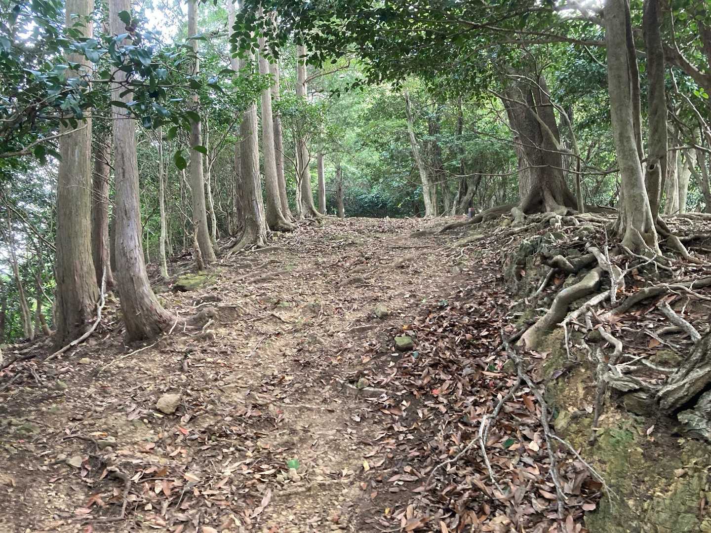 パーカー道からして急斜面なのよ💦
