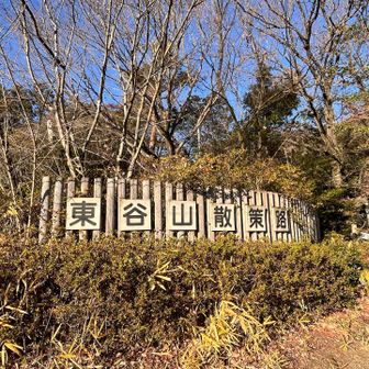 これにて無事下山しました🙌
おつかれ山でした〜🏔
