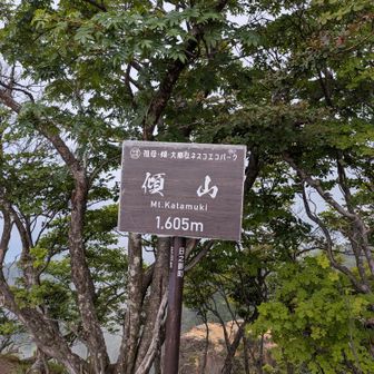 ７年ぶりの傾山
