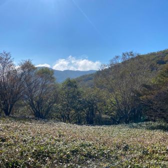 朝靄も晴れてきて天気も良好