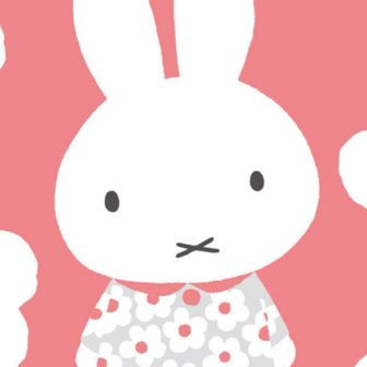 さちコ