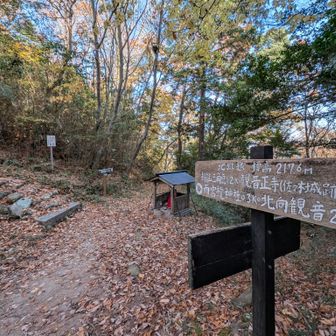 この分岐まっすぐ行ってしまったけど、正解は左の階段