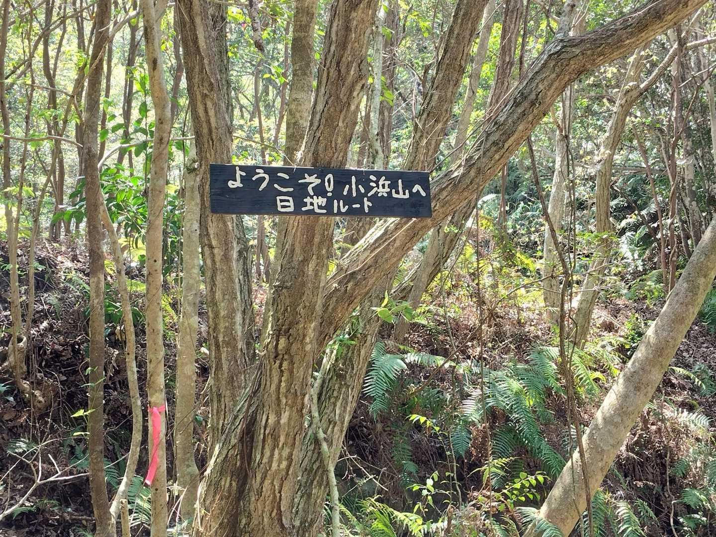 赤崎神社-小浜山登山入口-小浜山-日地登山口 周回コースの写真