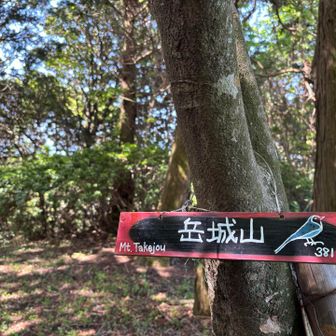 山頂到着です🙌