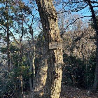 岩折妹背山⛰️