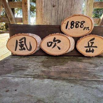 可愛い標識✨