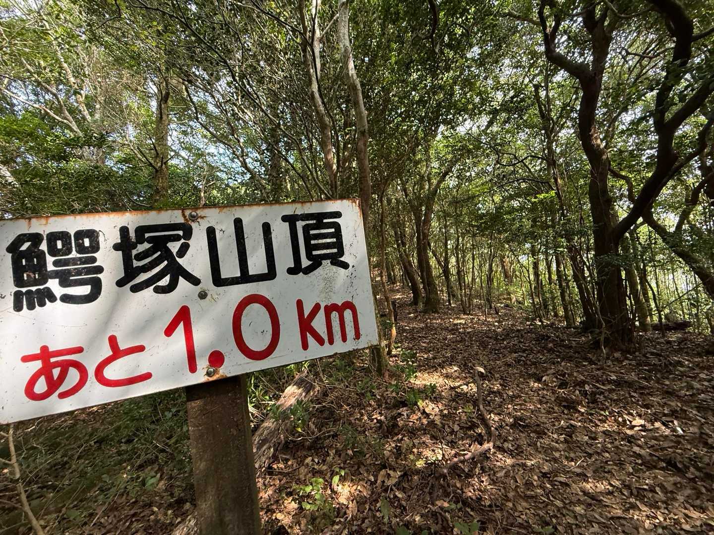 距離表示あり
歩きやすかったです🏃🏻‍♀️