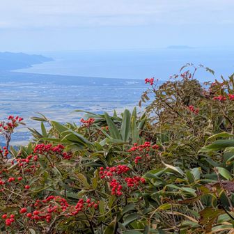 日本海の向こうに飛島、この景気が見たかった！