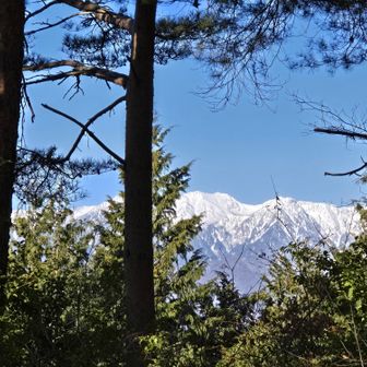 ベンチ設置した頃は樹木が小さくて絶景が広がっていたのでしょう。