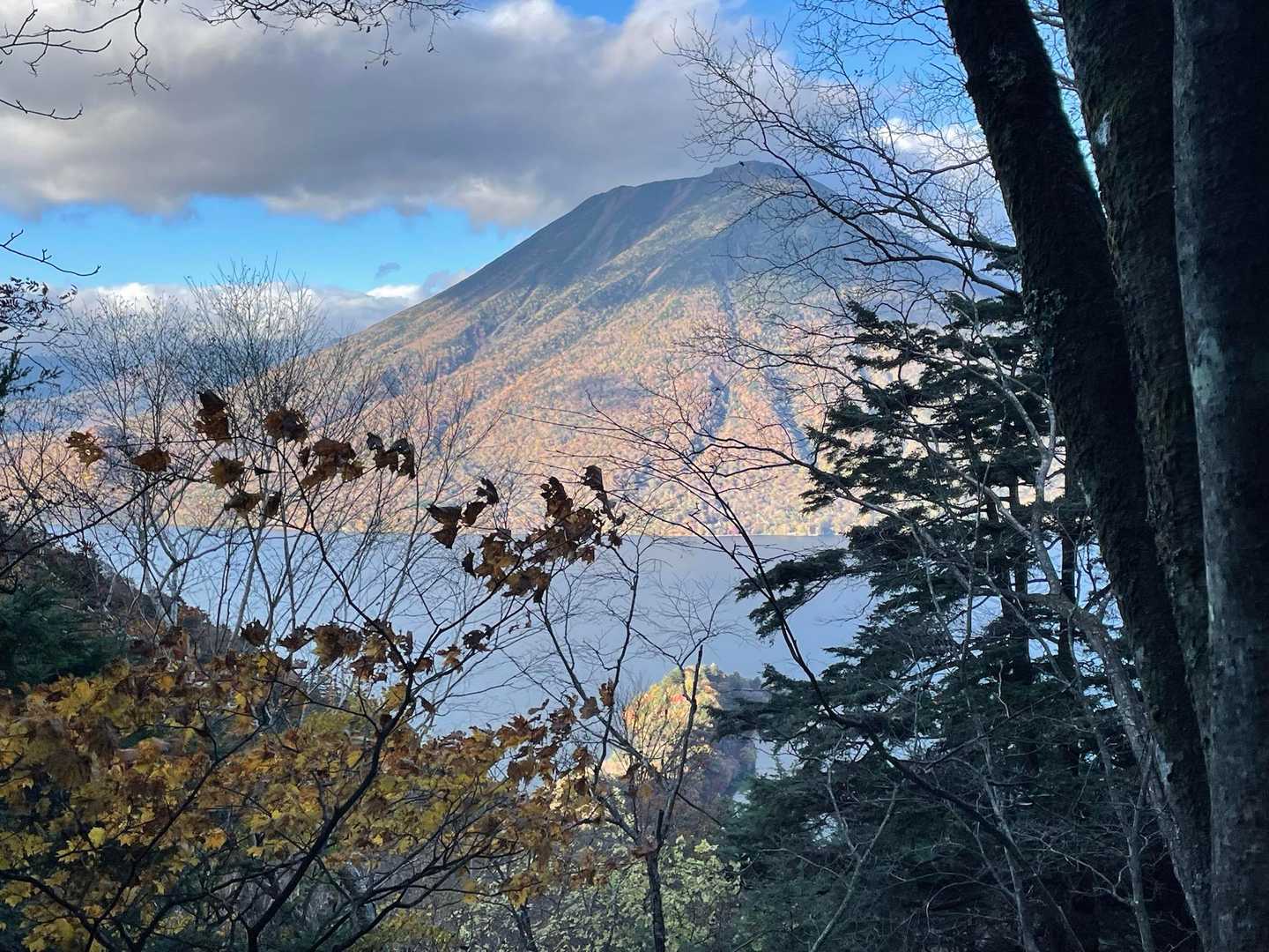 半月峠-半月山 往復コースの写真