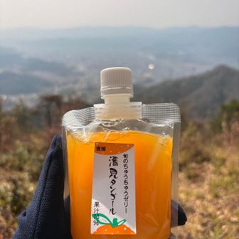 清見タンゴールゼリー🍊
食べて先を急ぐ😋