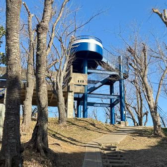 衣笠山山頂にも、展望台が😀貸切状態でした