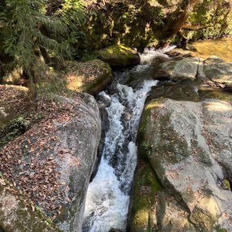けっこう水量豊富ですね