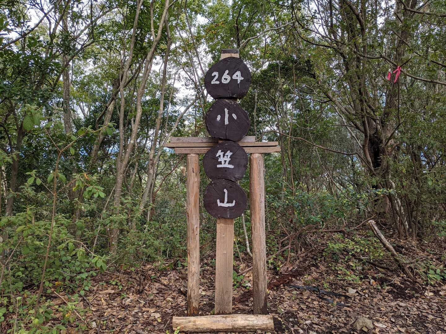 小笠山の写真
