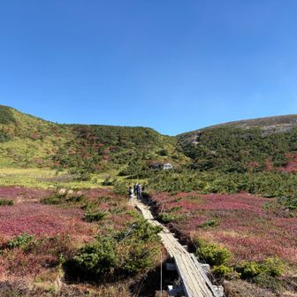 これから向かう一切経山の酸ガ平避難小屋が最後のトイレ。
先に急登が見えますが見た目よりは急ではなかったです。