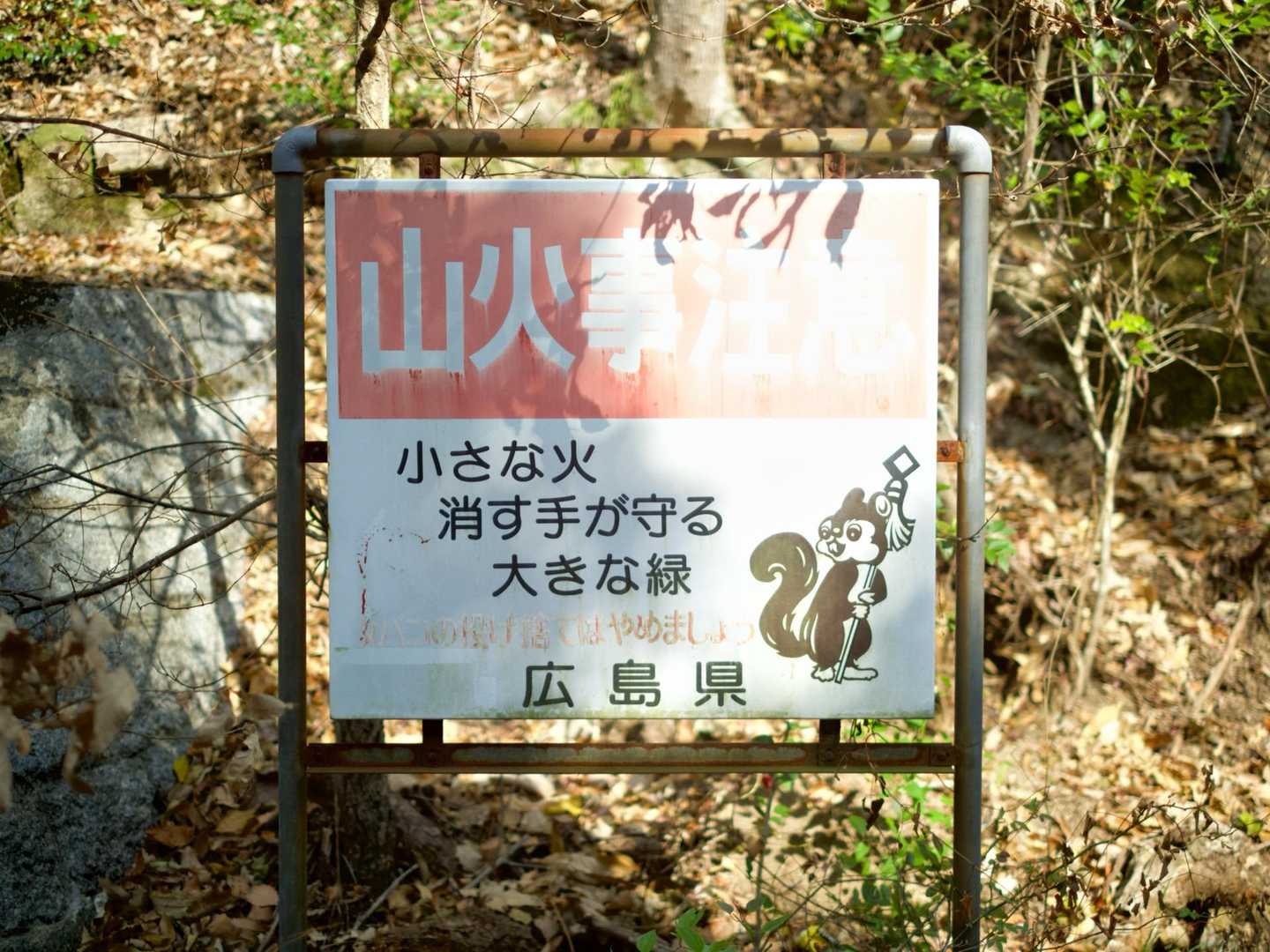 このリスさん好き🐿