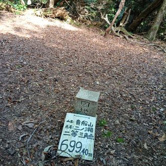 貴船山三角点。最高地点と三角点が別の位置🤔