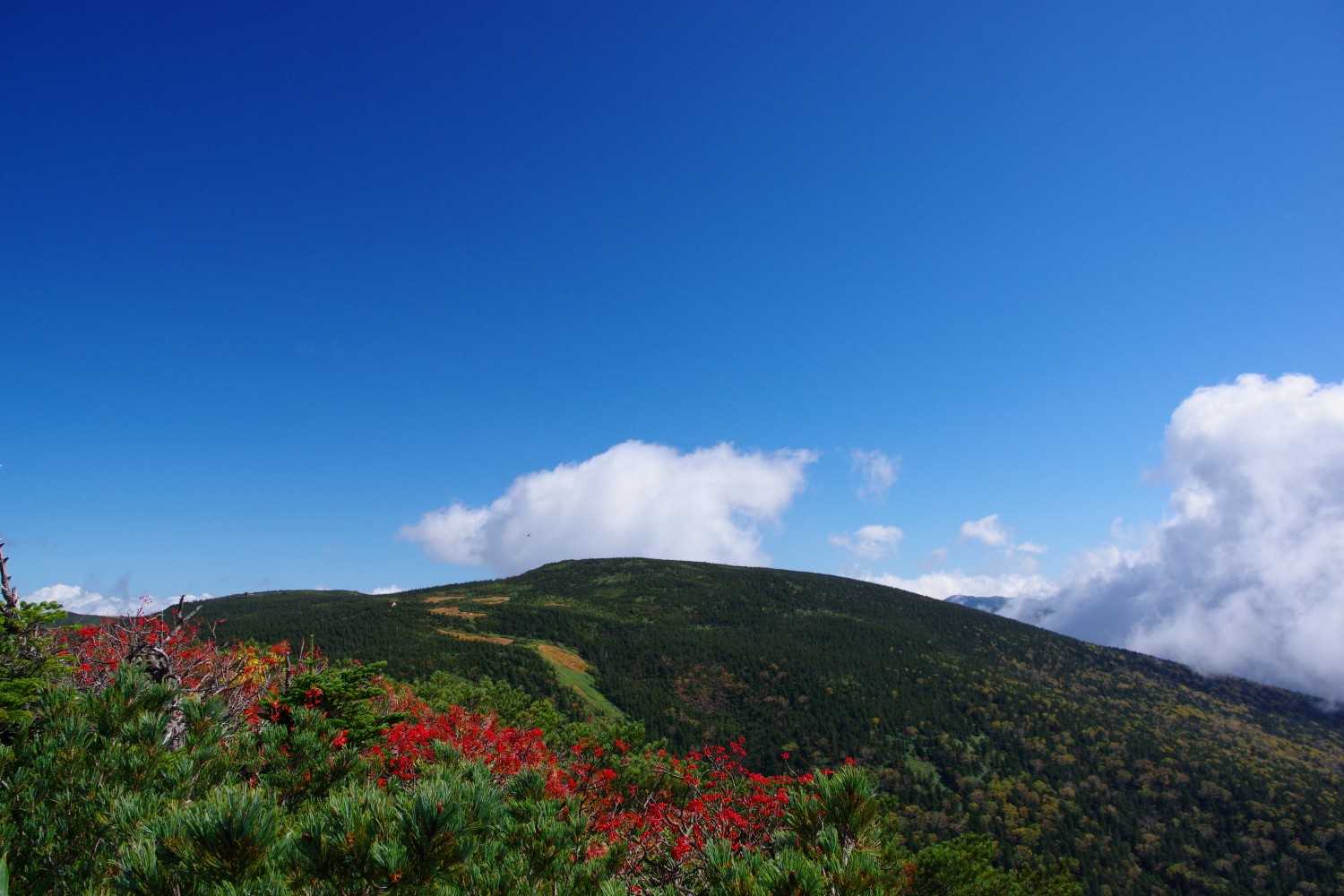 ロープウェイ終点から西大巓-西吾妻山の写真