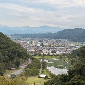 暑いです💦
