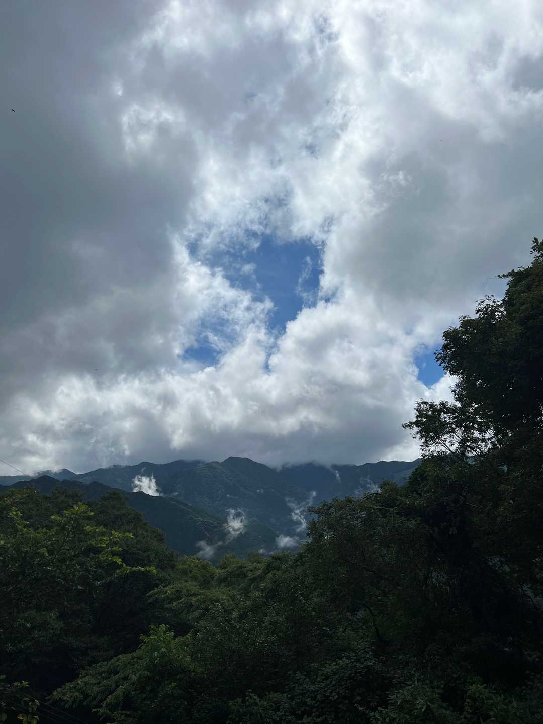 翠波高原-翠波峰 周回コースの写真