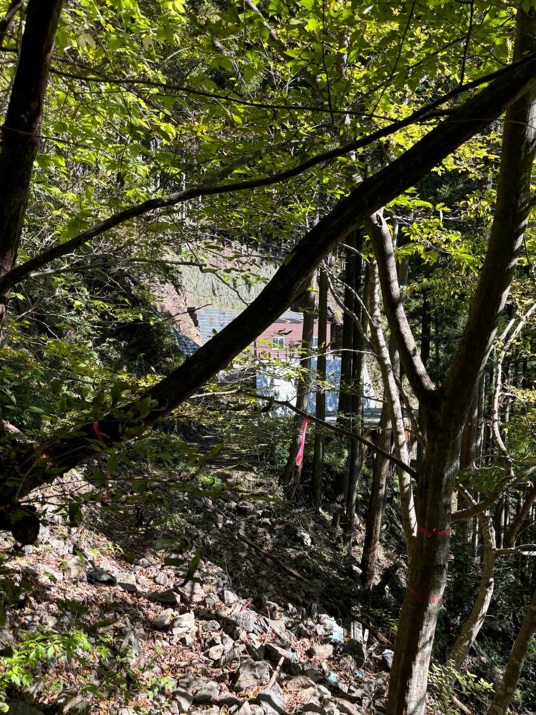 もうすぐで終わりかなぁと、気持ち良ーく歩いていたら建物の方に行ってしまいましたが、間違いでした
山道は注意しないと間違えますね
周りを良く見渡して、道を見つけるのに少し時間かかりました