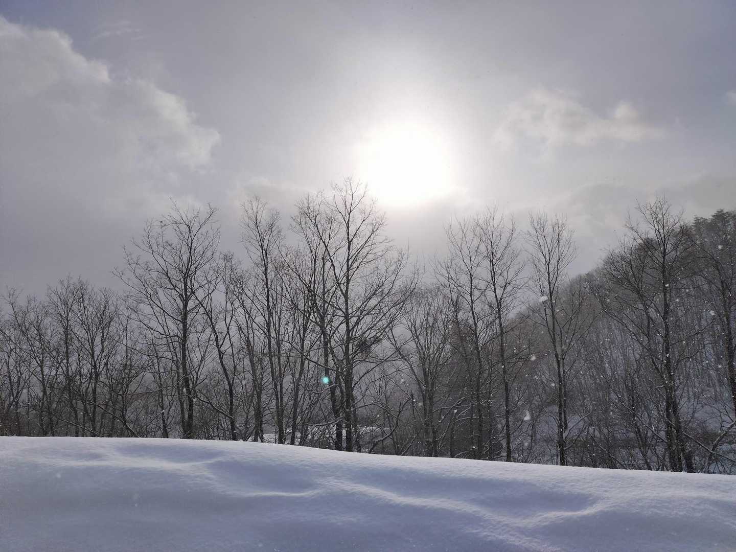 時おり顔を覗かせる太陽☀
思ってたより爆風でもなく、準備中の降雪もなく、昨晩からの新雪のみでラッセルもなく…歩きやすい‼️🤣