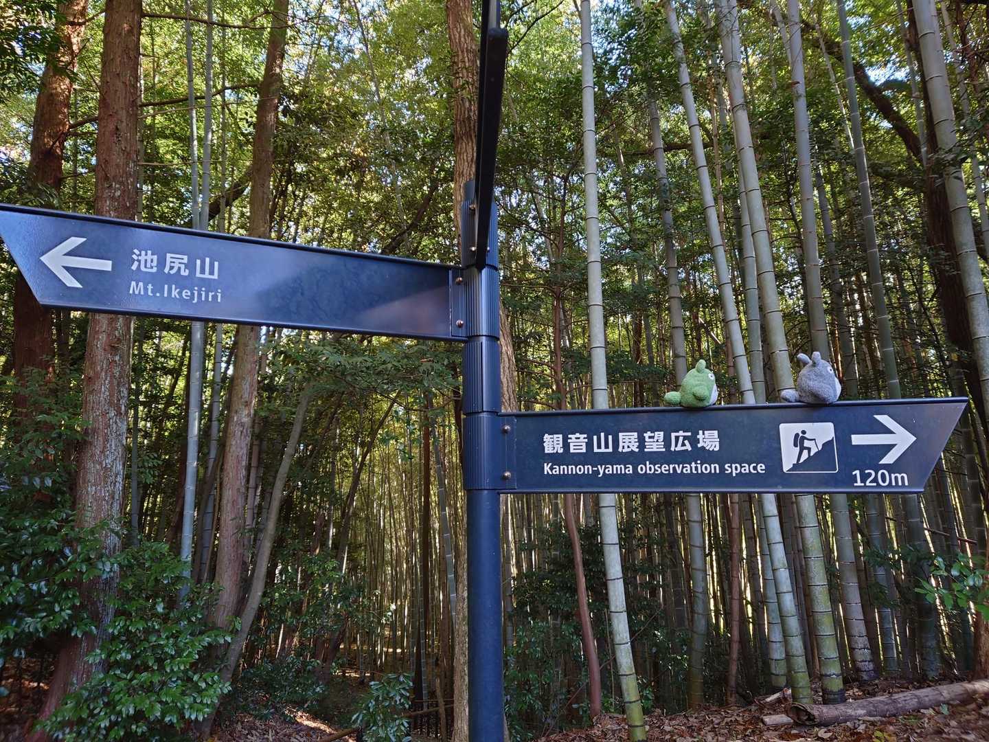 まずは、観音山へ👉
