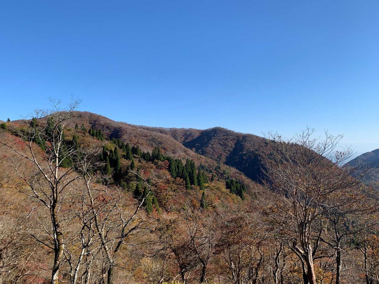 甲津畑登山口-杉峠-杉峠ノ頭-イブネ-クラシ-タイジョウ 周回コースの写真