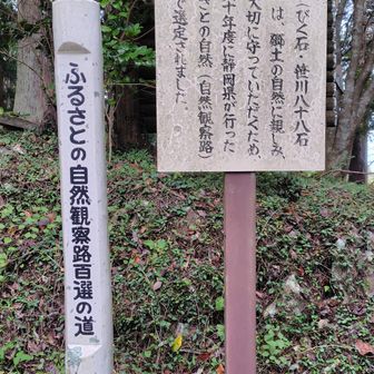山頂間近