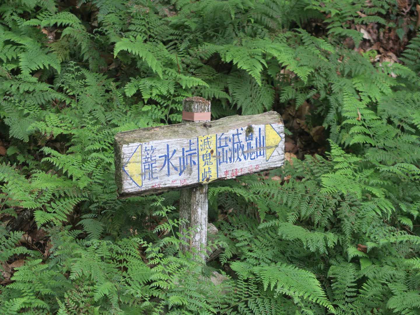 英彦山への縦走コース