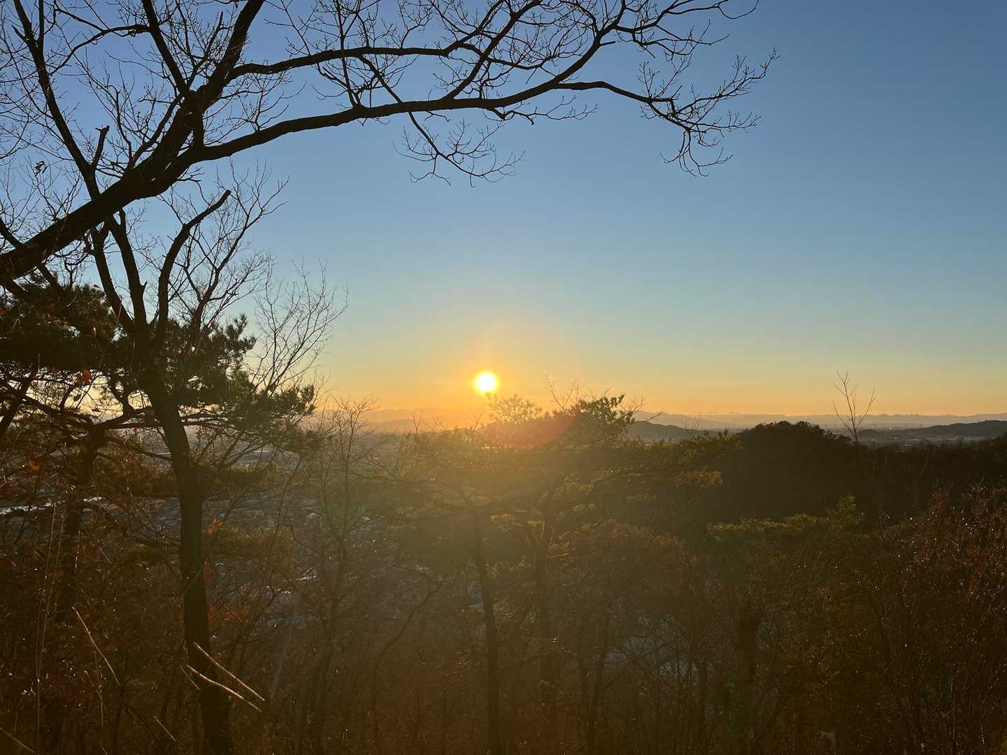 織姫公園発着｜両崖山 往復コースの写真