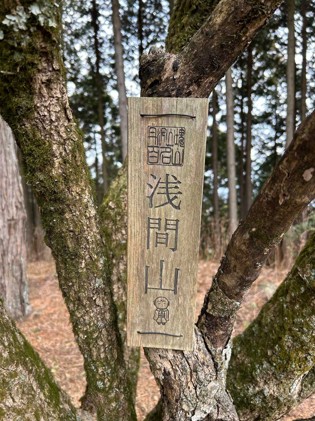 丹沢山塊百名山浅間山とあります。
いろんな百名山があるな。