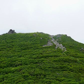進んでもまだ山頂は見えず