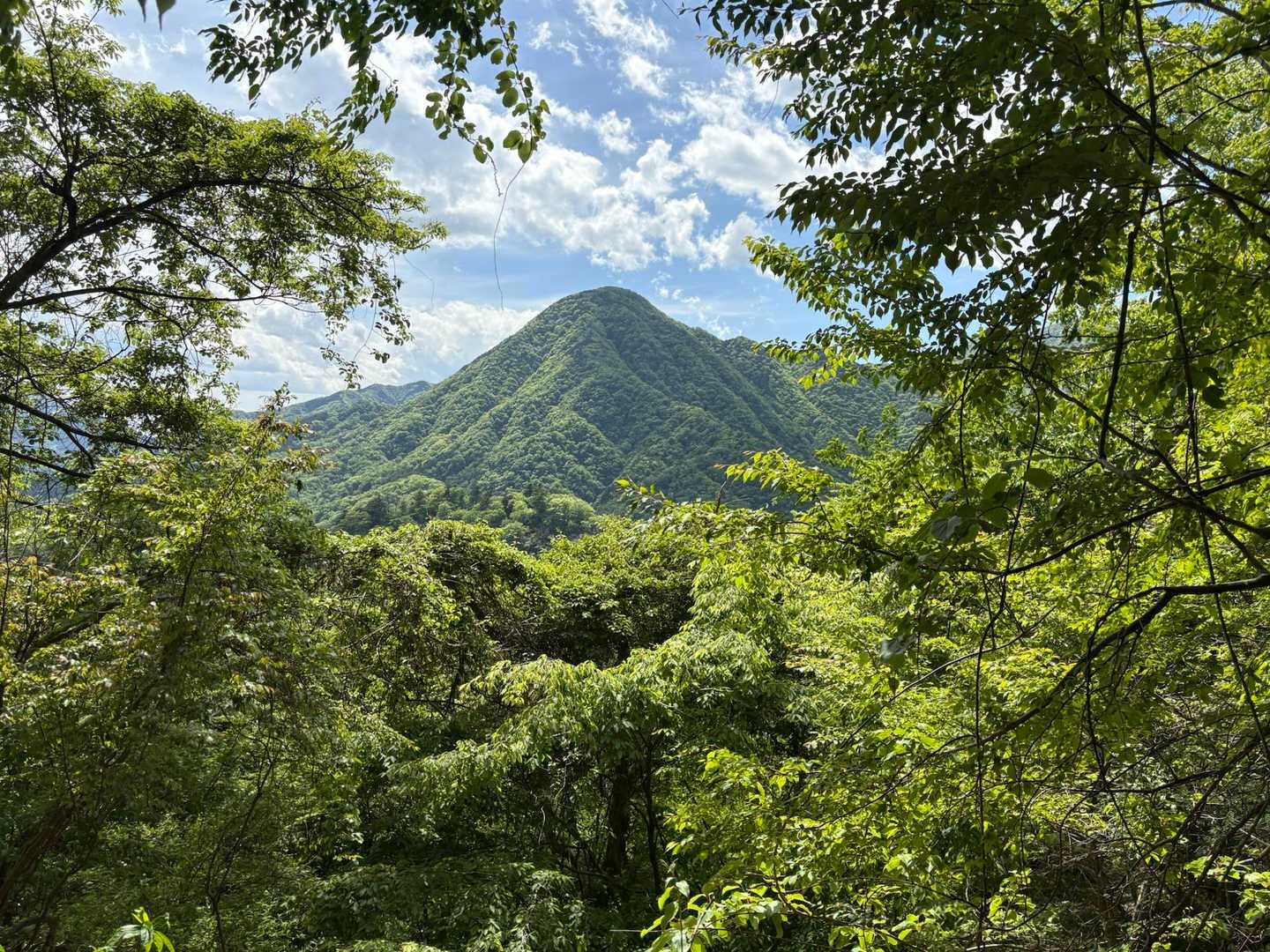 権現山？

気になる